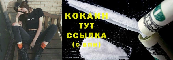 мдпв Богданович