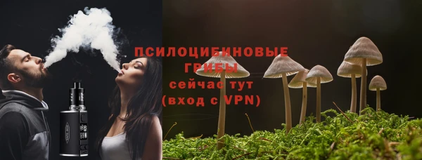 гидропоника Богородицк
