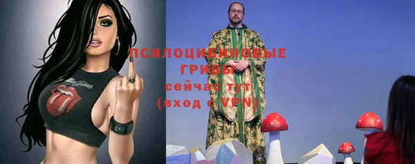 гидропоника Богородицк