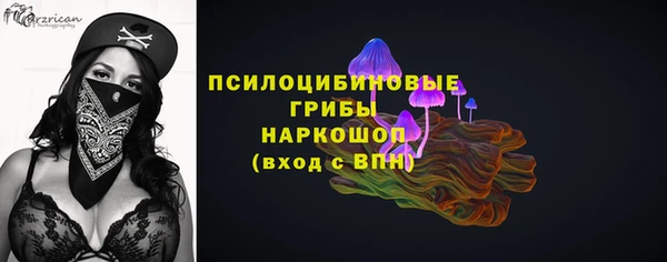 мдпв Богданович