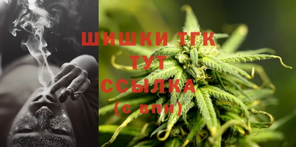 мдпв Богданович